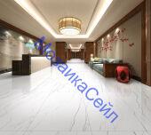 ������������ NSC1274 60*120 NSmosaic