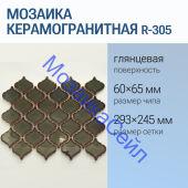 ������� ��������������� R-305 NSmosaic ������� ��������� ��������