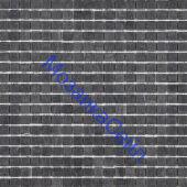 ������� ��������� STN10154M� Imagine Lab ������ ������������