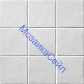 ������� ������������ R-377 NSmosaic ��������� �����