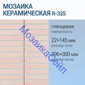 ������� ������������ R-325 NSmosaic ������� ���������