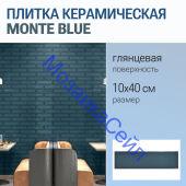 ������������ ������ Monte BLUE 10x40 ����� ���������