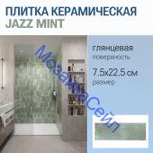 ������ ������������ JAZZ MINT 7.5x22.5 ���������� ������ ���������