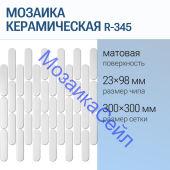 ������� ������������ R-345 NSmosaic ����� �������