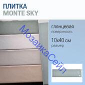 ������ Monte SKY 10x40 ������� ���������