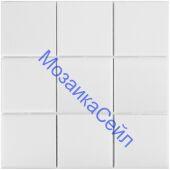 ������������ ������� 10�10 �� White Matt 97�97 Starmosaic ����� �������