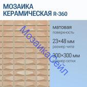 ������� ������������ R-360 NSmosaic ������� ������� NS11PL0089