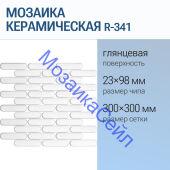 ������� ������������ R-341 NSmosaic ����� ���������