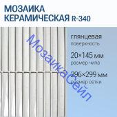 ������� ������������ R-340 NSmosaic ����� ���������