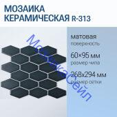 ������� ������������ R-313 NSmosaic ������� ������� �����-�������