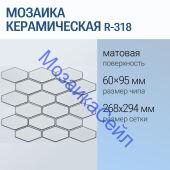 ������� ������������ R-318 NSmosaic ����� �������