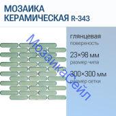 ������� ������������ R-343 NSmosaic ������� ��������� ���������