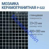 ������� ��������������� P-522 NSmosaic ������ ���������