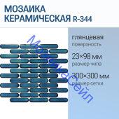 ������� ������������ R-344 NSmosaic ����� ������� ���������