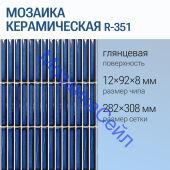 ������� ������������ R-351 NSmosaic ��������� ����� �����������