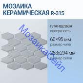 ������� ������������ R-315 NSmosaic ����� ���������