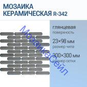 ������� ������������ R-342 NSmosaic ����� ���������